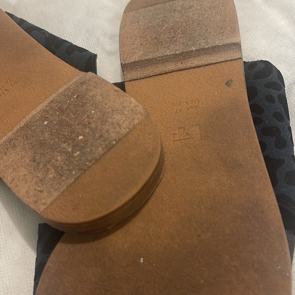 Slides - Picture 6 of 6